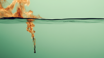 Cordyceps: What they are, benefits, and side effects