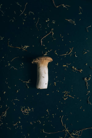 King trumpet mushroom: What it is, its benefits, and side effects