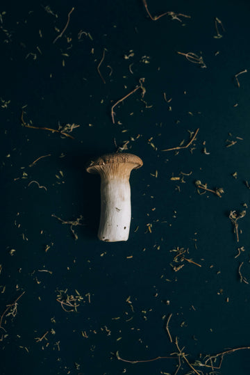 King trumpet mushroom: What it is, its benefits, and side effects