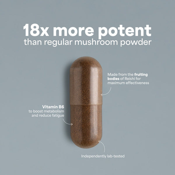 SOOO calm: Reishi extract 15-18:1