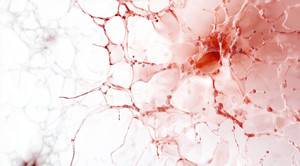 Nicotinamide mononucleotide (NMN): Benefits, side effects, and supplementation options