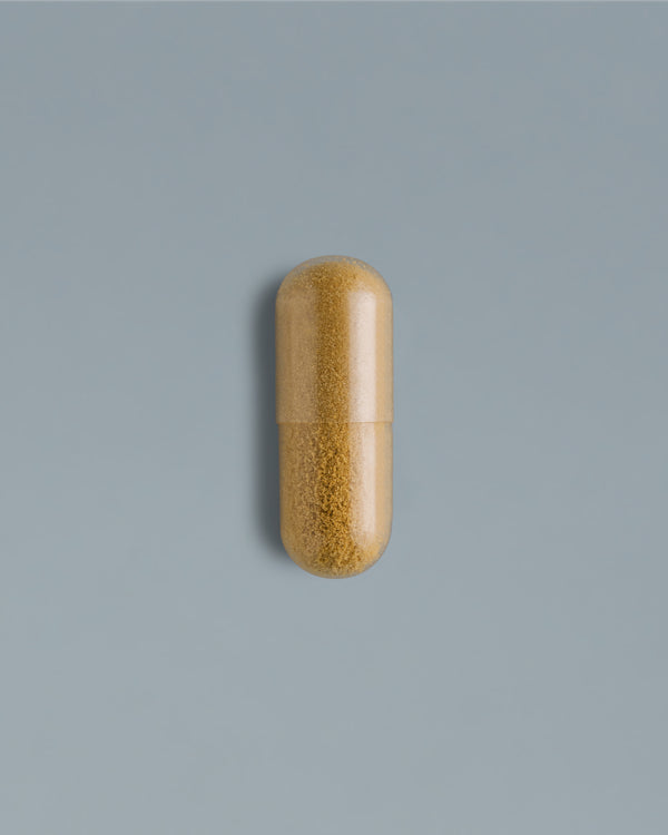 Single supplement bottle of SOOO lean by Sooo.me™ featuring berberine, spermidine, shilajit, and EGCG capsules.